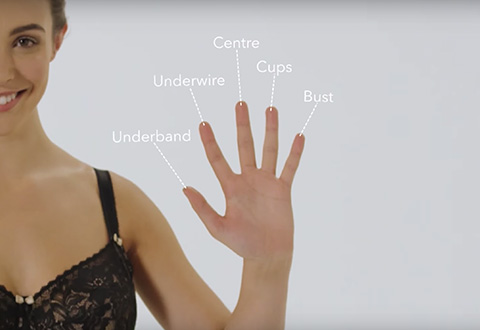 Your Perfect Bra project artwork