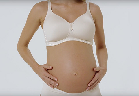 Your Perfect Bra project artwork
